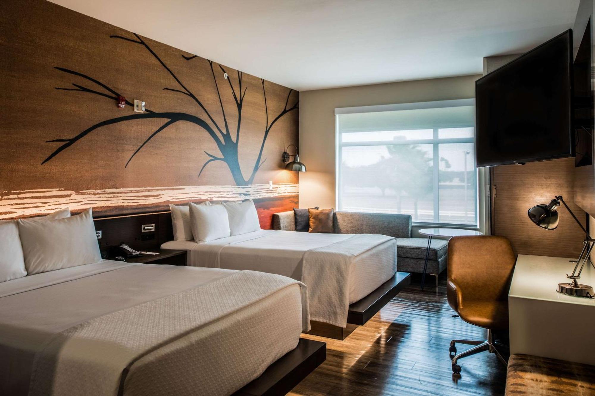 Cambria Hotel Mcallen Convention Center מראה חיצוני תמונה